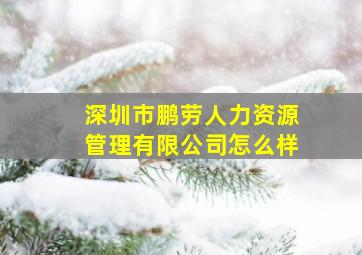 深圳市鹏劳人力资源管理有限公司怎么样