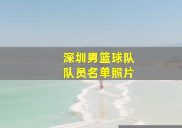 深圳男篮球队队员名单照片