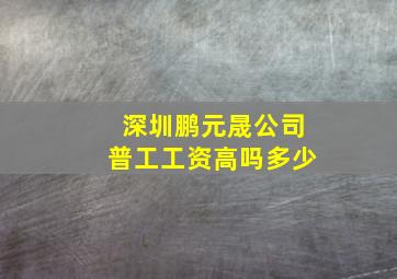 深圳鹏元晟公司普工工资高吗多少