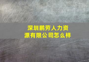 深圳鹏劳人力资源有限公司怎么样