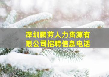 深圳鹏劳人力资源有限公司招聘信息电话