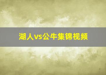 湖人vs公牛集锦视频