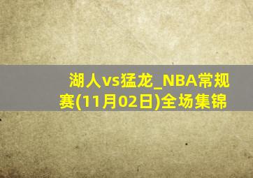 湖人vs猛龙_NBA常规赛(11月02日)全场集锦