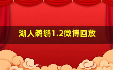 湖人鹈鹕1.2微博回放