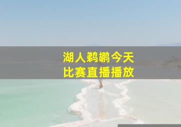 湖人鹈鹕今天比赛直播播放