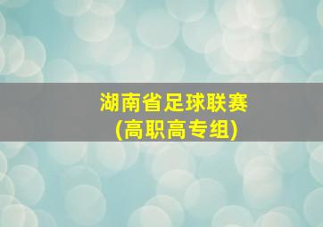 湖南省足球联赛(高职高专组)