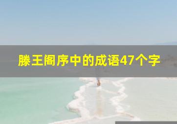 滕王阁序中的成语47个字