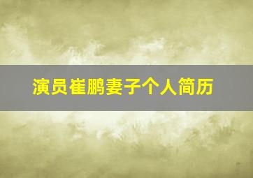 演员崔鹏妻子个人简历