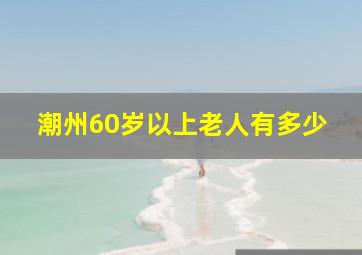 潮州60岁以上老人有多少