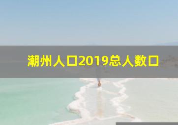 潮州人口2019总人数口