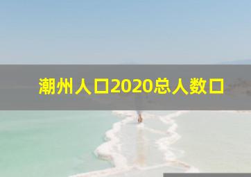 潮州人口2020总人数口