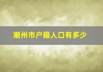 潮州市户籍人口有多少