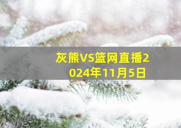 灰熊VS篮网直播2024年11月5日