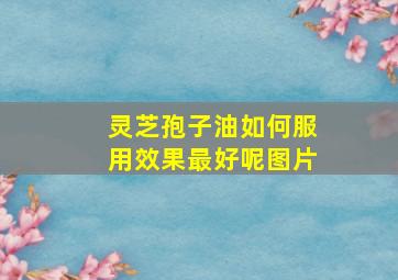 灵芝孢子油如何服用效果最好呢图片