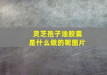 灵芝孢子油胶囊是什么做的呢图片