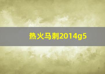 热火马刺2014g5