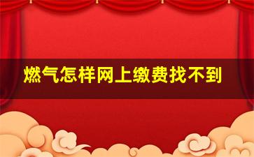 燃气怎样网上缴费找不到