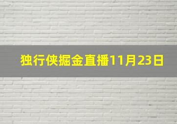 独行侠掘金直播11月23日