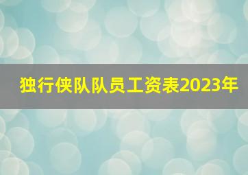 独行侠队队员工资表2023年