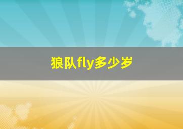 狼队fly多少岁