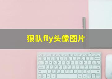 狼队fly头像图片