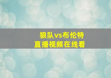 狼队vs布伦特直播视频在线看