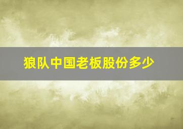 狼队中国老板股份多少