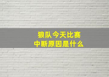 狼队今天比赛中断原因是什么