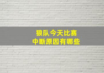 狼队今天比赛中断原因有哪些