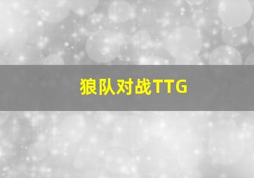 狼队对战TTG