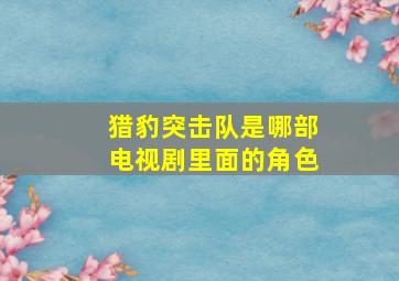 猎豹突击队是哪部电视剧里面的角色