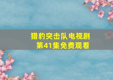 猎豹突击队电视剧第41集免费观看