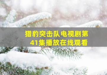 猎豹突击队电视剧第41集播放在线观看