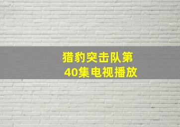 猎豹突击队第40集电视播放