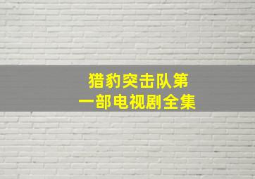 猎豹突击队第一部电视剧全集