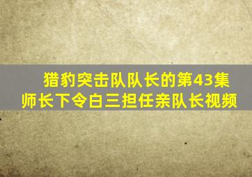 猎豹突击队队长的第43集师长下令白三担任亲队长视频