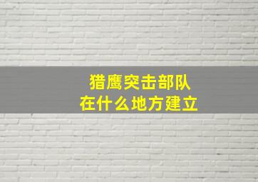 猎鹰突击部队在什么地方建立