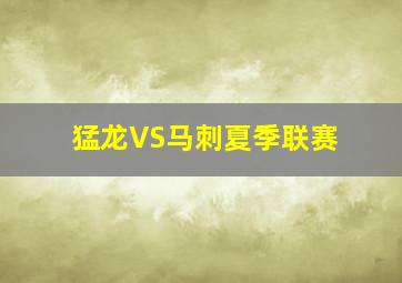 猛龙VS马刺夏季联赛