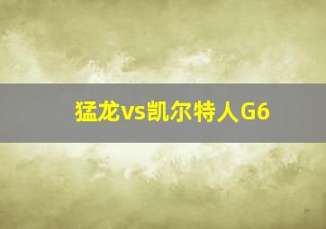 猛龙vs凯尔特人G6