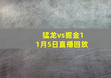 猛龙vs掘金11月5日直播回放