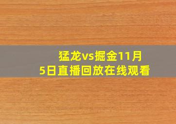 猛龙vs掘金11月5日直播回放在线观看