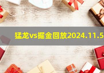 猛龙vs掘金回放2024.11.5