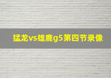 猛龙vs雄鹿g5第四节录像