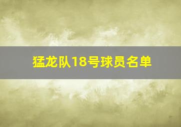 猛龙队18号球员名单