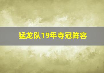 猛龙队19年夺冠阵容