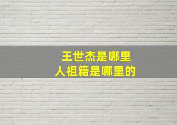 王世杰是哪里人祖籍是哪里的