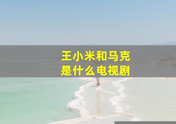 王小米和马克是什么电视剧