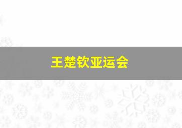 王楚钦亚运会