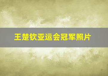 王楚钦亚运会冠军照片