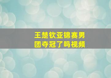 王楚钦亚锦赛男团夺冠了吗视频